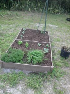 The Rustic Vegetable Garden
