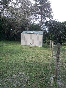 More Fertilizer, please