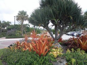 McKee Botanical Garden