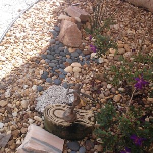 Rockcentric Rain Garden