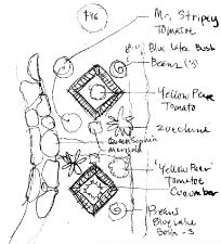The Vegetable Parterre