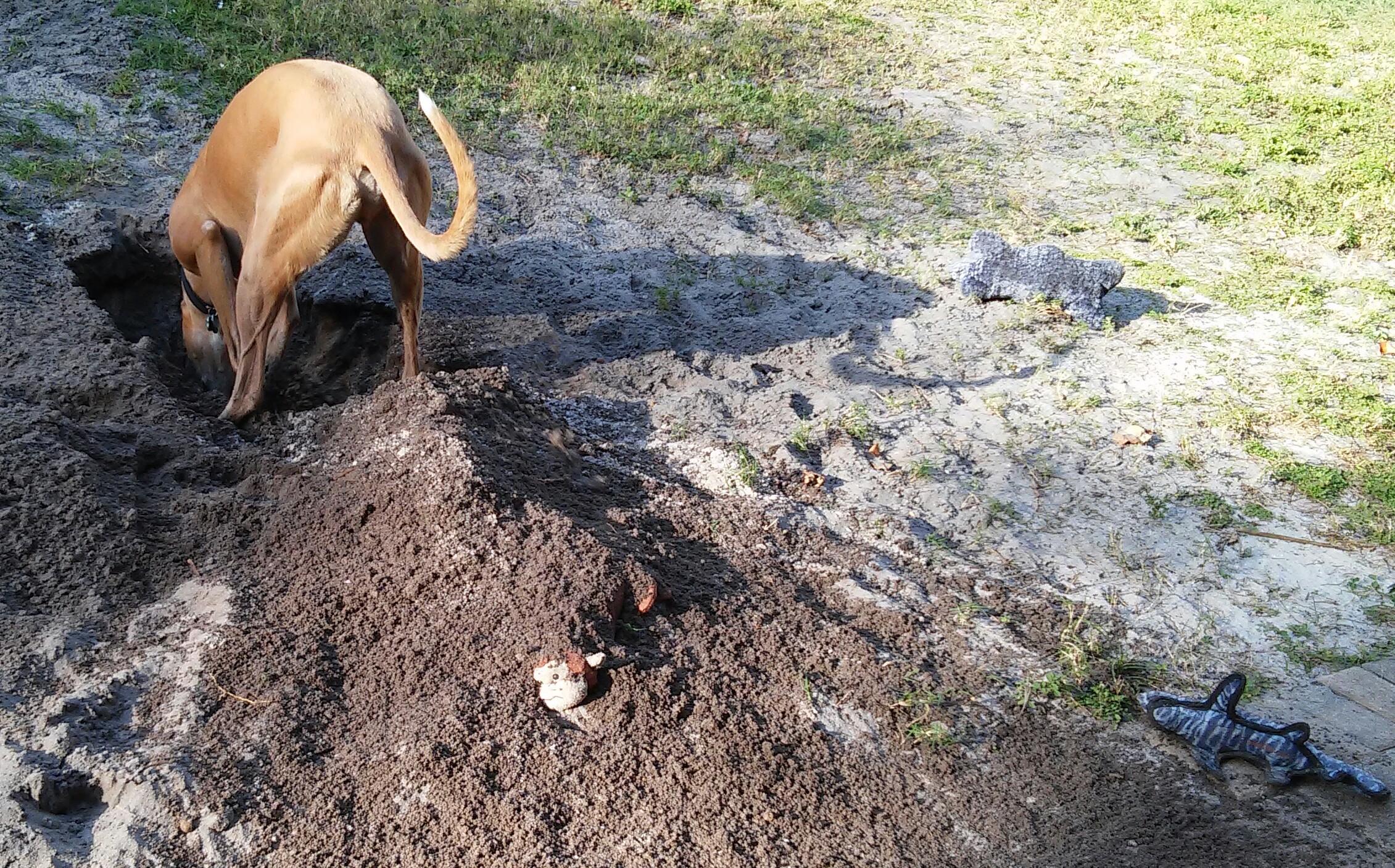 20160307_164454(5)-1