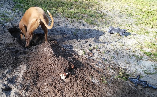 20160307_164454(5)-1