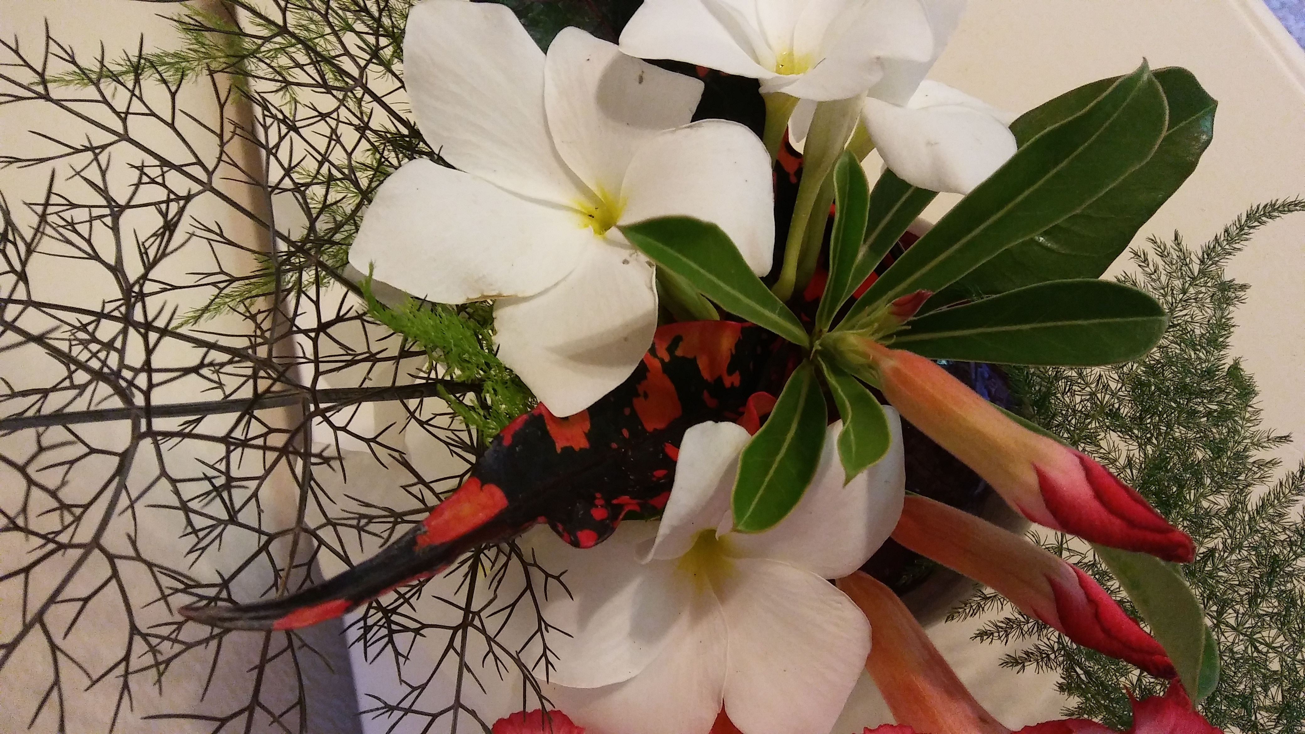 20170702_120238_Burst01