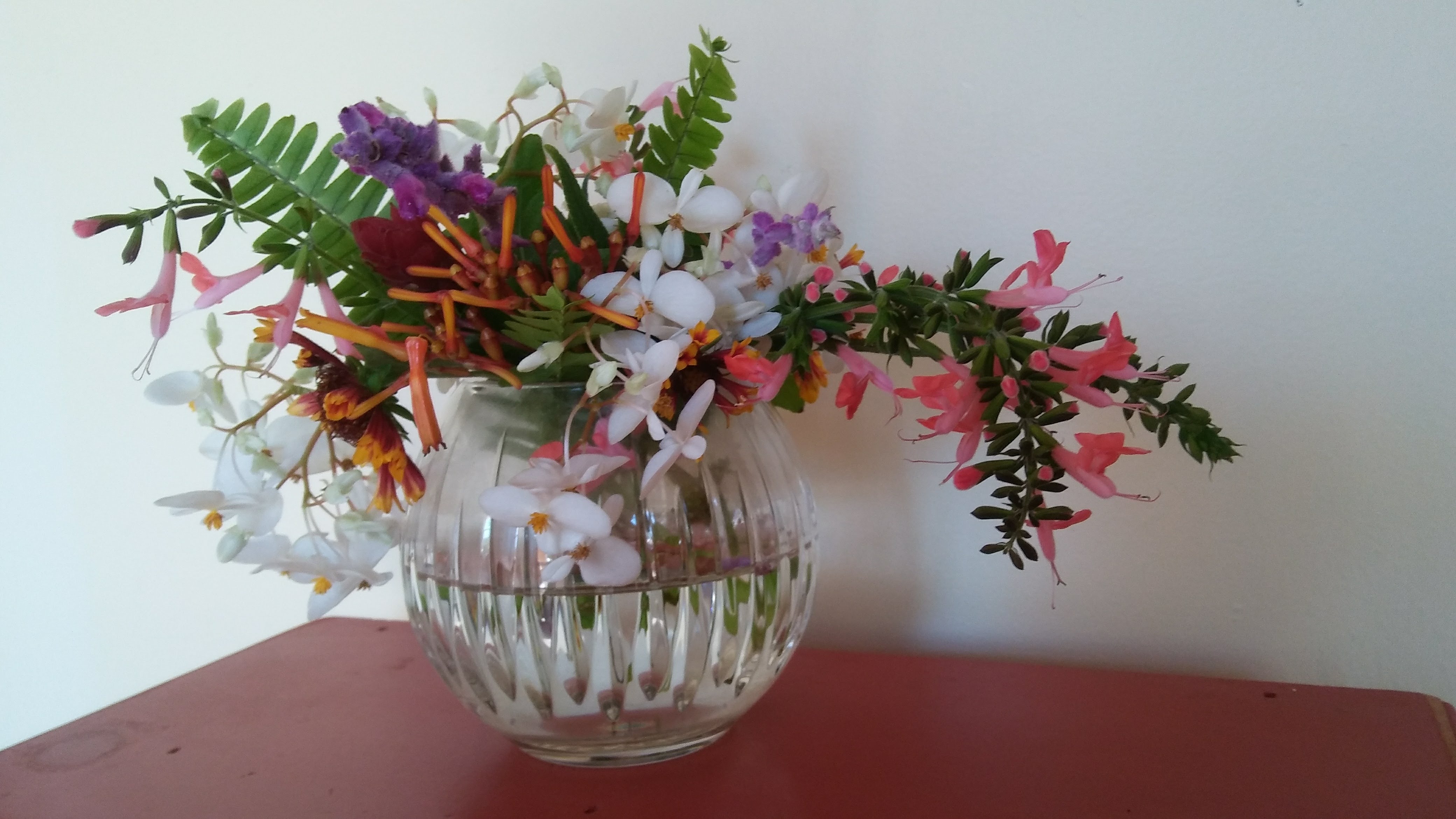 20171231_113134_Burst01