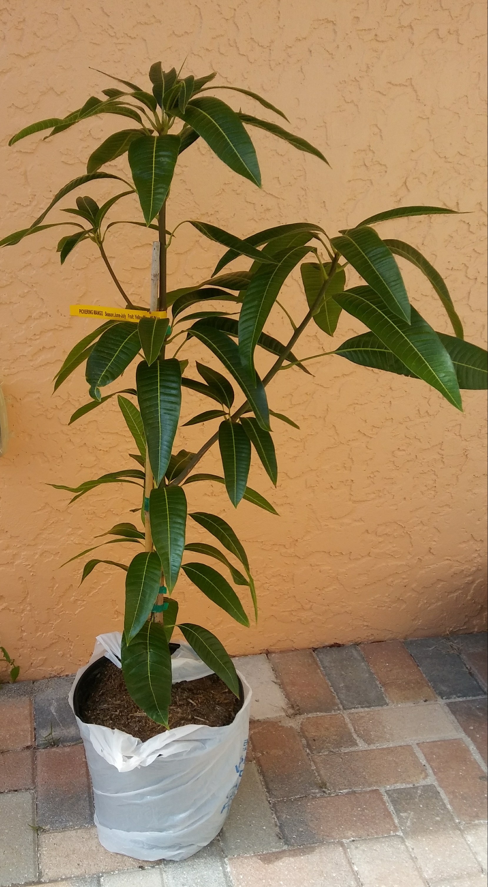20180211_120015_Burst01-1.jpg