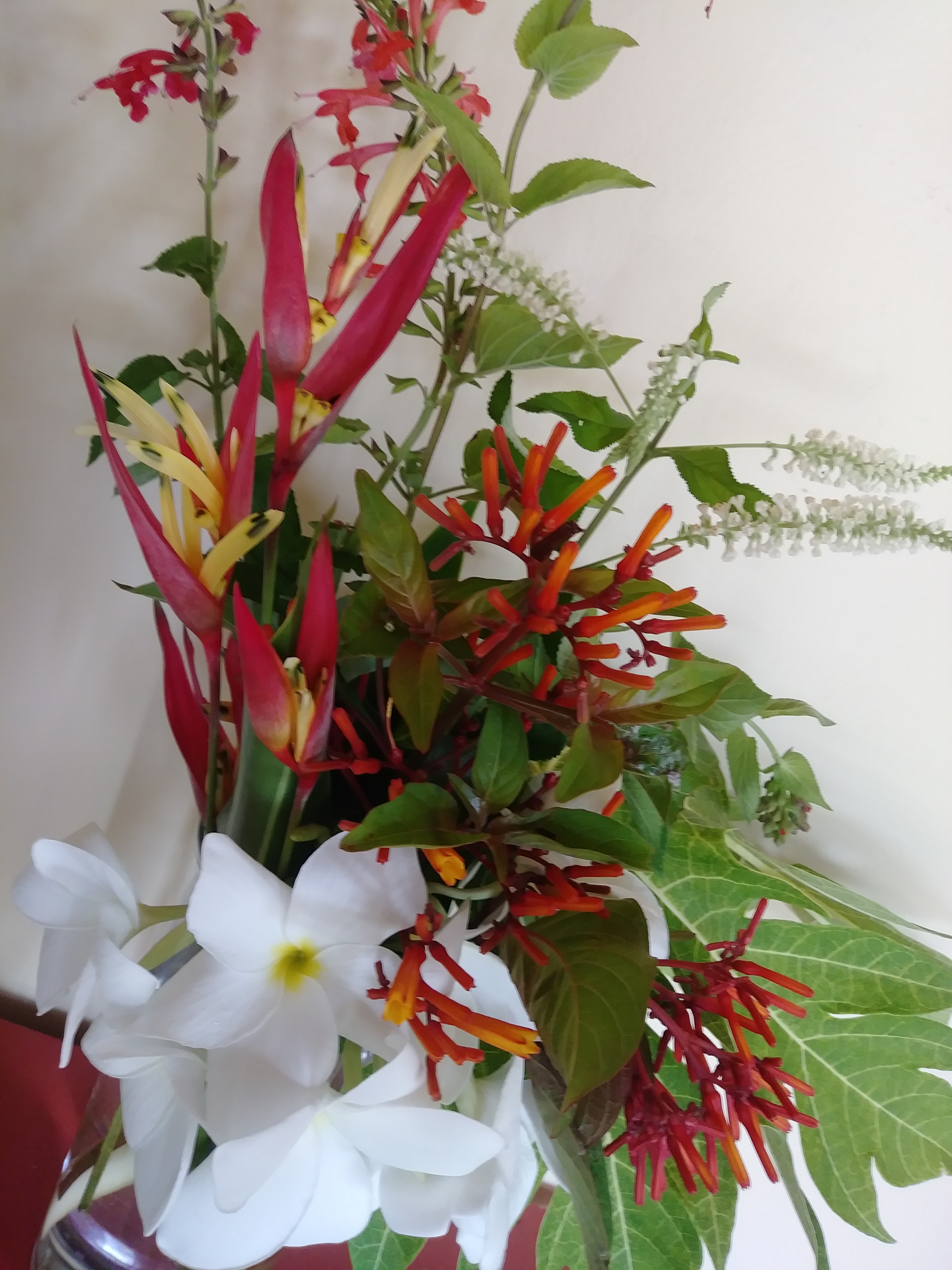 20180708_104737_Burst01