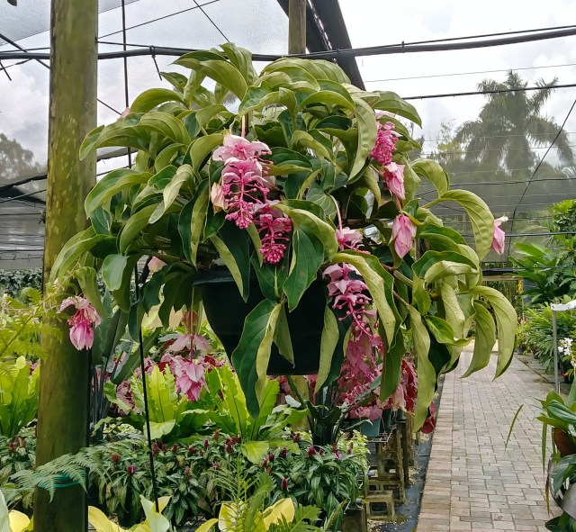 20181008_141010_HDR-1