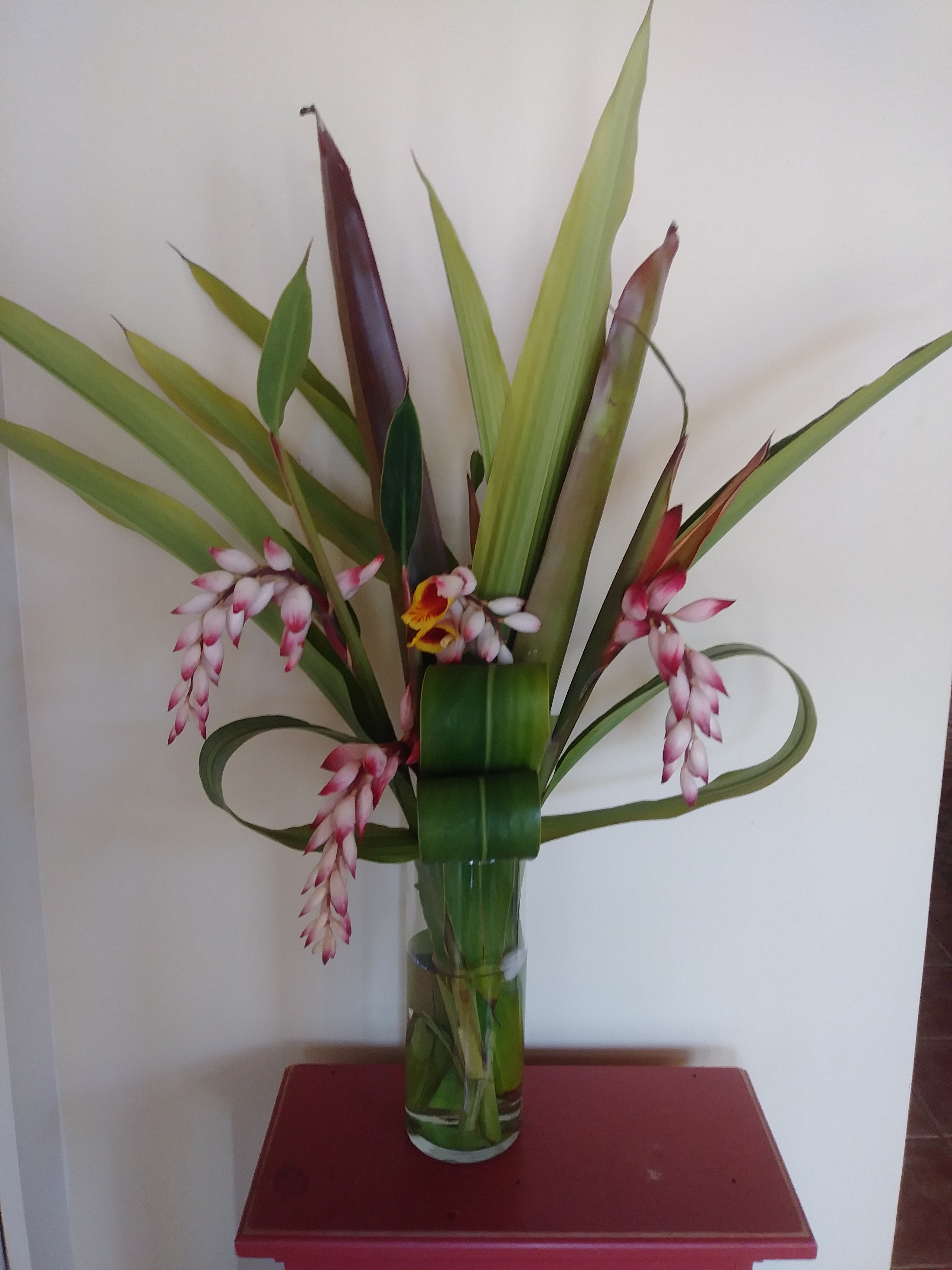 20190224_131521_Burst01