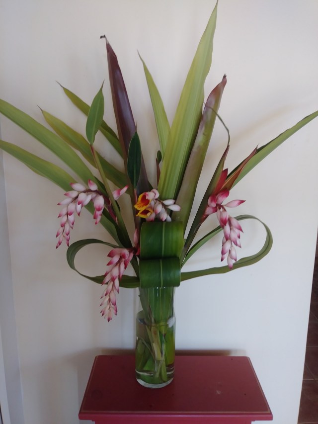 20190224_131521_Burst01