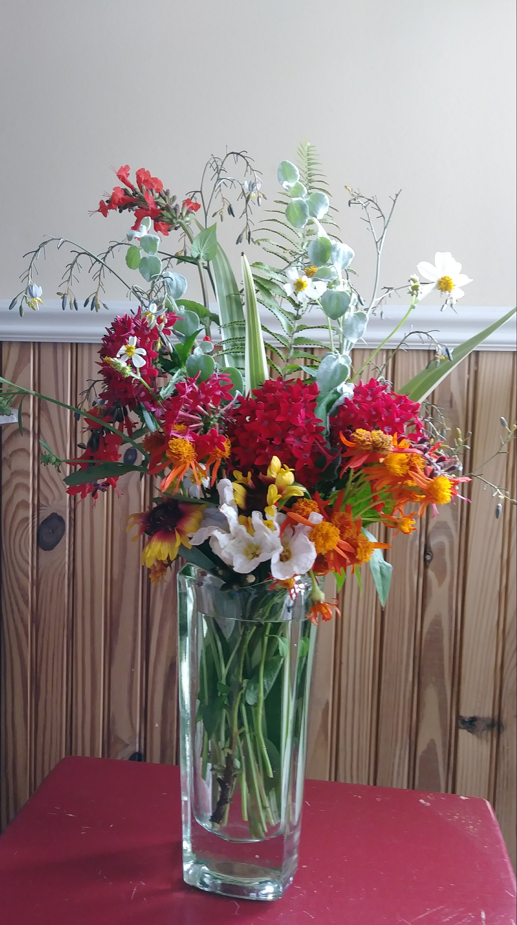 20190317_105403-1 (1)