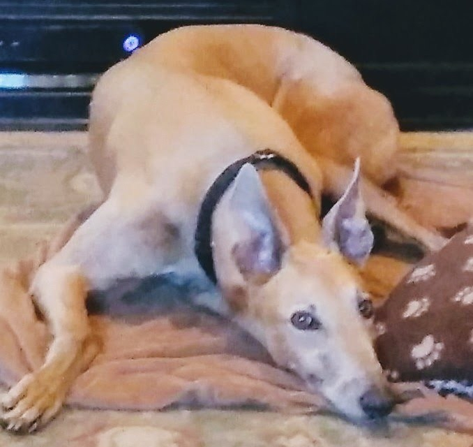 img_20180317_1443482