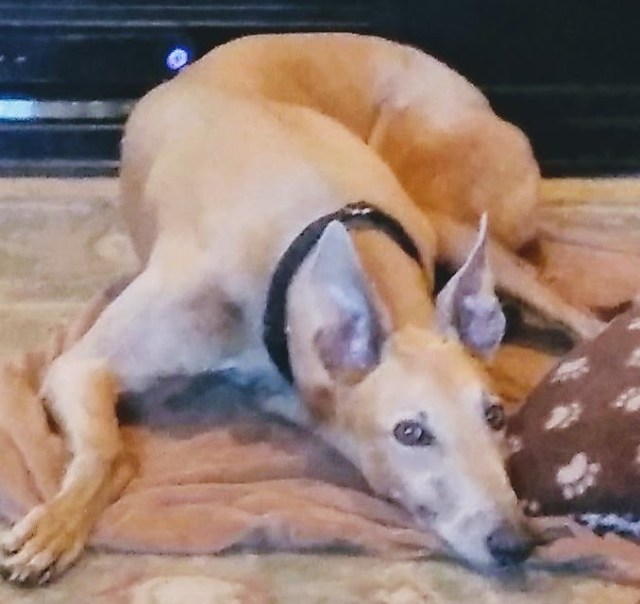 img_20180317_1443482