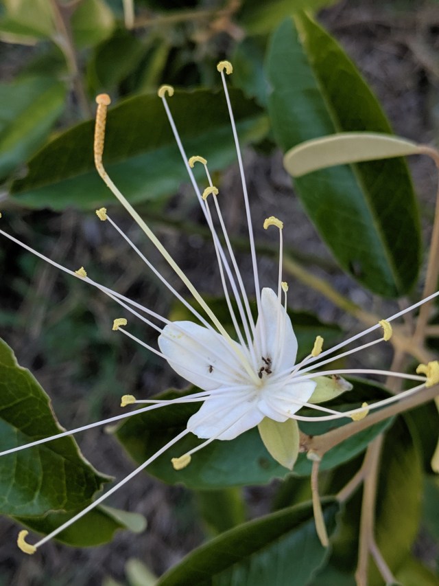 00000img_00000_burst20190522092749300_cover