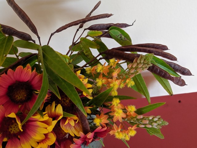 00000img_00000_burst20190526103434963_cover