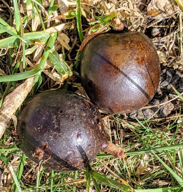 00000img_00000_burst20190529095924247_cover