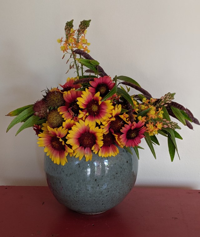 00100lportrait_00100_burst20190526103459642_cover