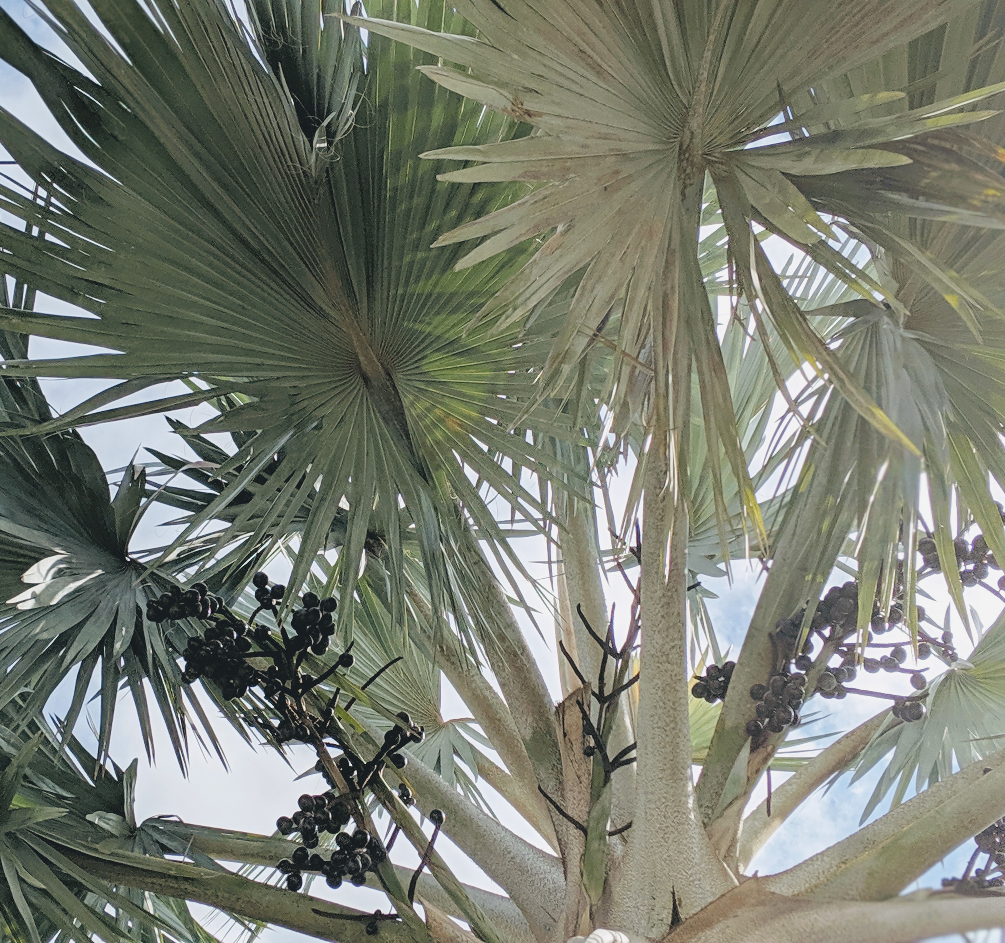 00100lportrait_00100_burst20190529095847155_cover