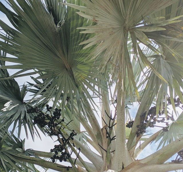 00100lportrait_00100_burst20190529095847155_cover