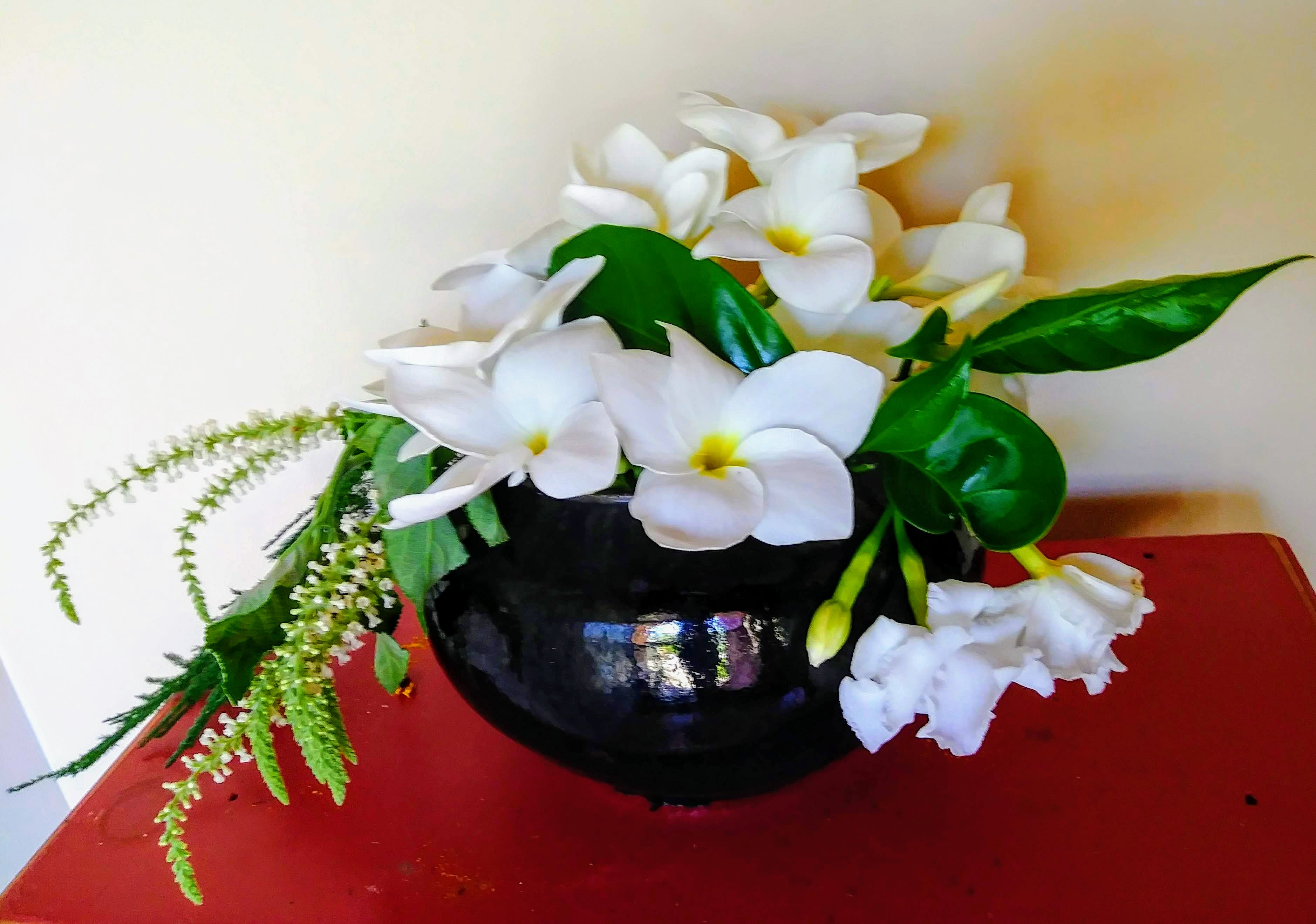 20190519_1259542-effects