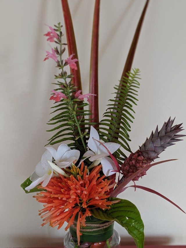 00100lportrait_00100_burst20190602093912970_cover