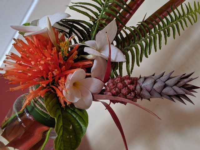 00100lPORTRAIT_00100_BURST20190602094804635_COVER