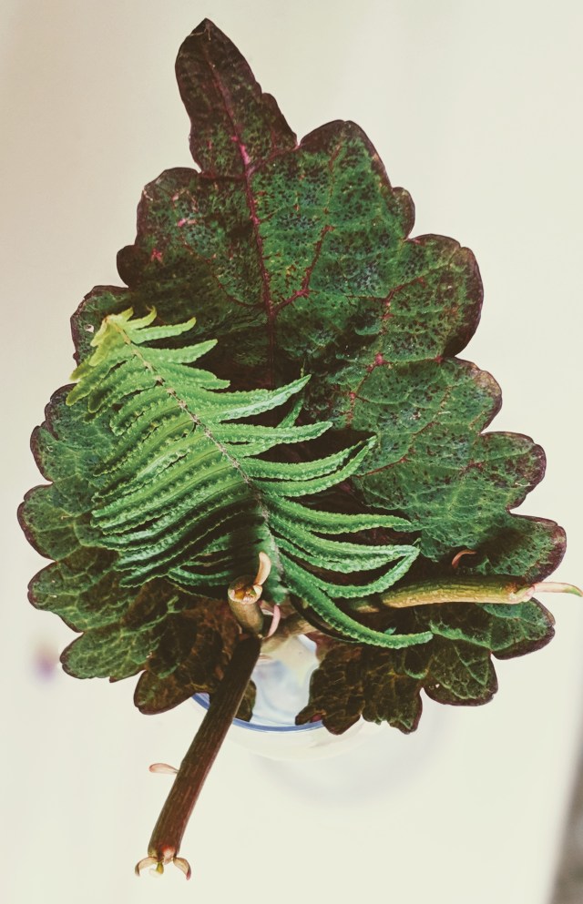 00100lPORTRAIT_00100_BURST20190616132121134_COVER