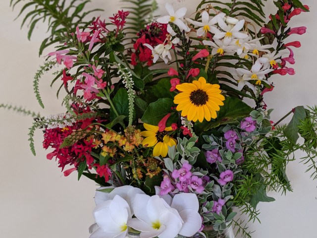 00100lPORTRAIT_00100_BURST20190623101525354_COVER