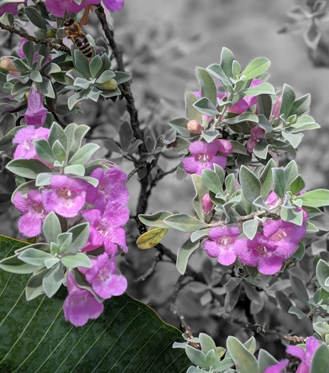 00100lPORTRAIT_00100_BURST20190623142416588_COVER_2