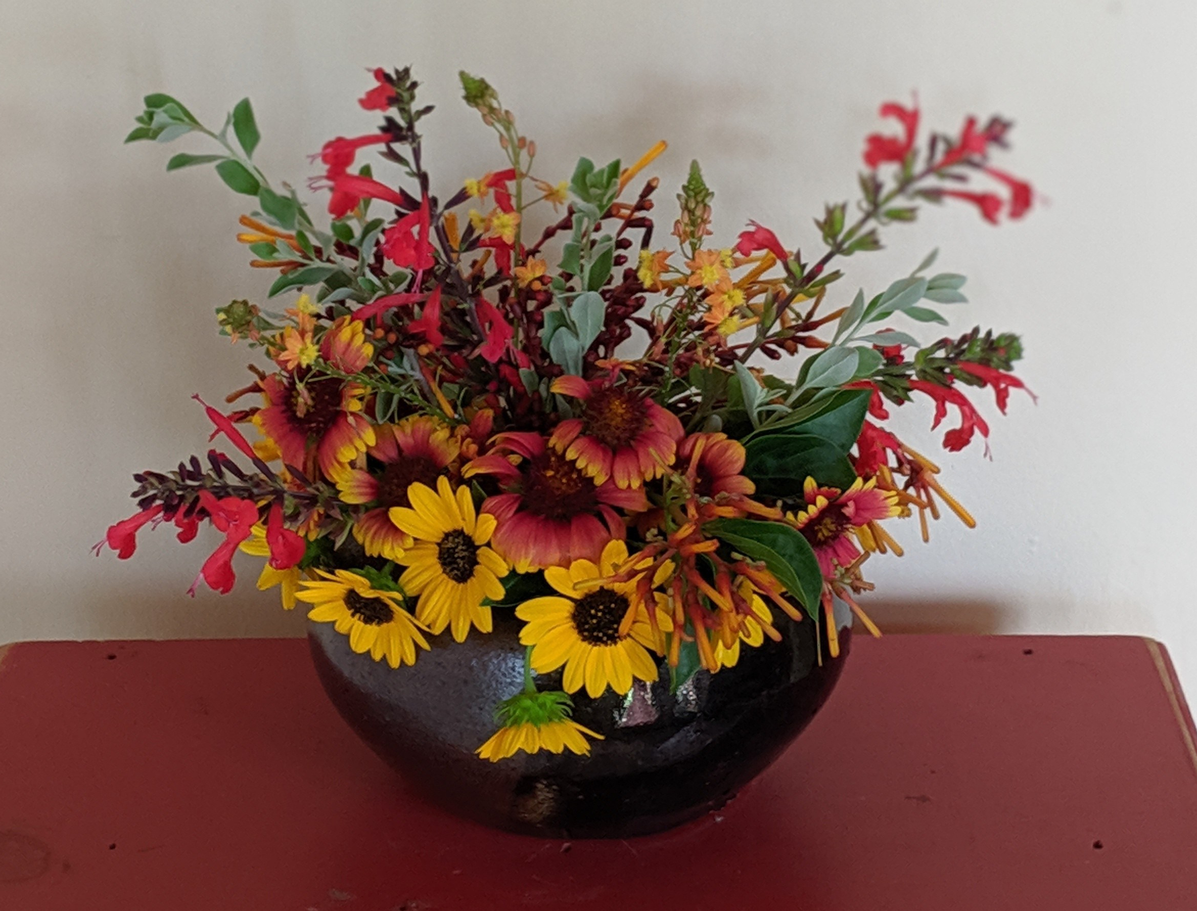 00100lportrait_00100_burst20190630100051852_cover