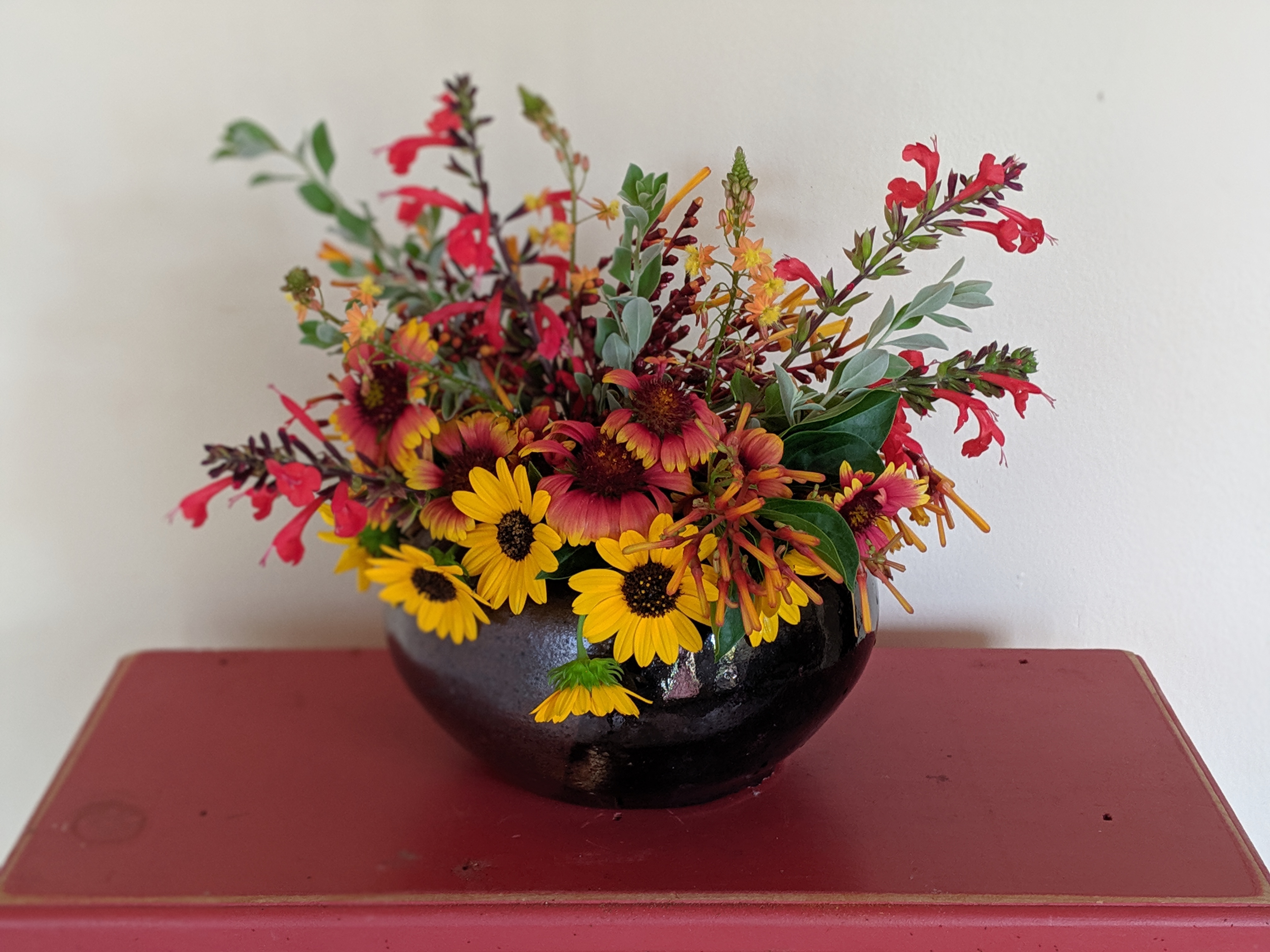 00100lportrait_00100_burst20190630100108686_cover