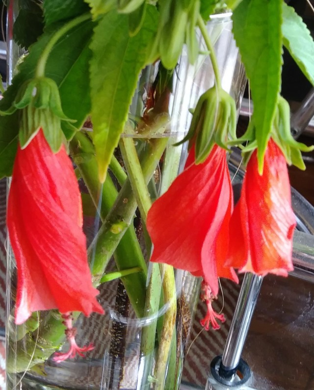 20181028_133148-1 (1)