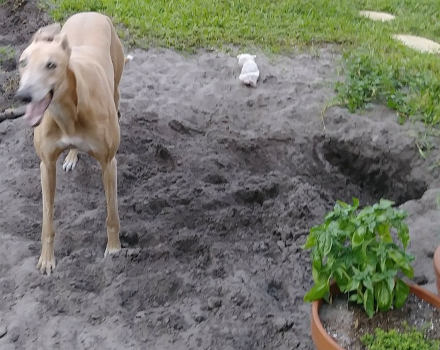 20190426_192810-1-1 (1)