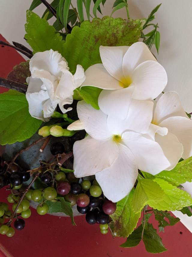 00000img_00000_burst20190714102302057_cover