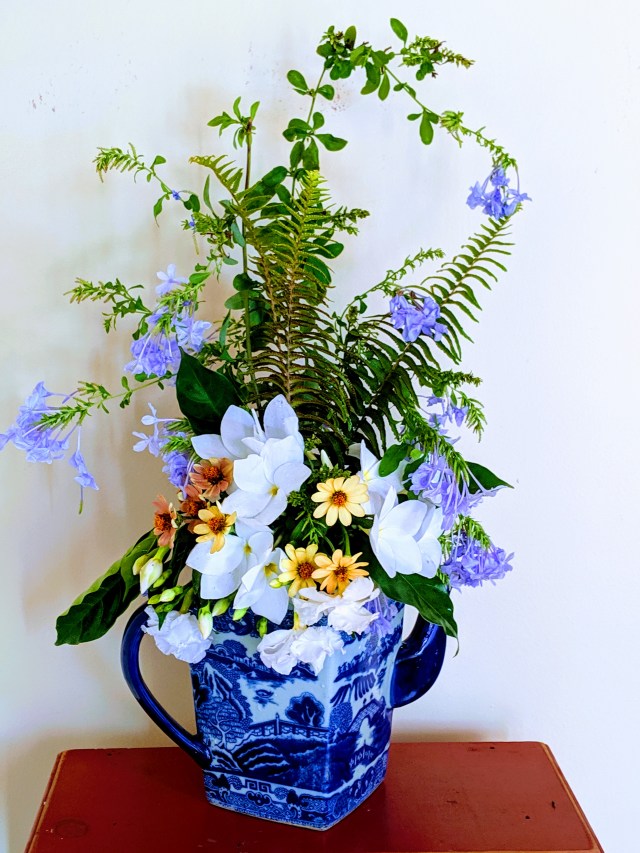 00000PORTRAIT_00000_BURST20190707101121090