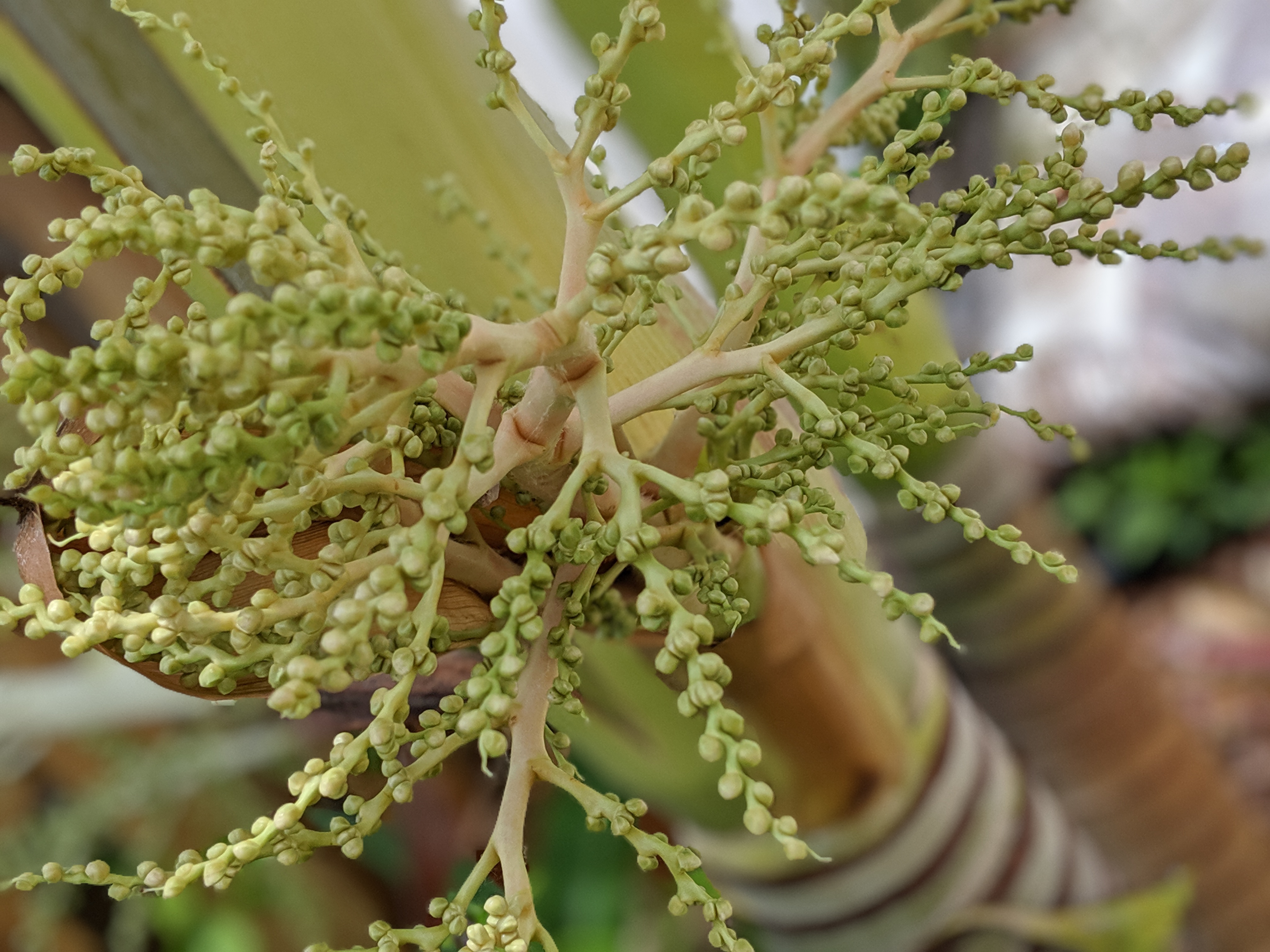 00100lPORTRAIT_00100_BURST20190622130923887_COVER