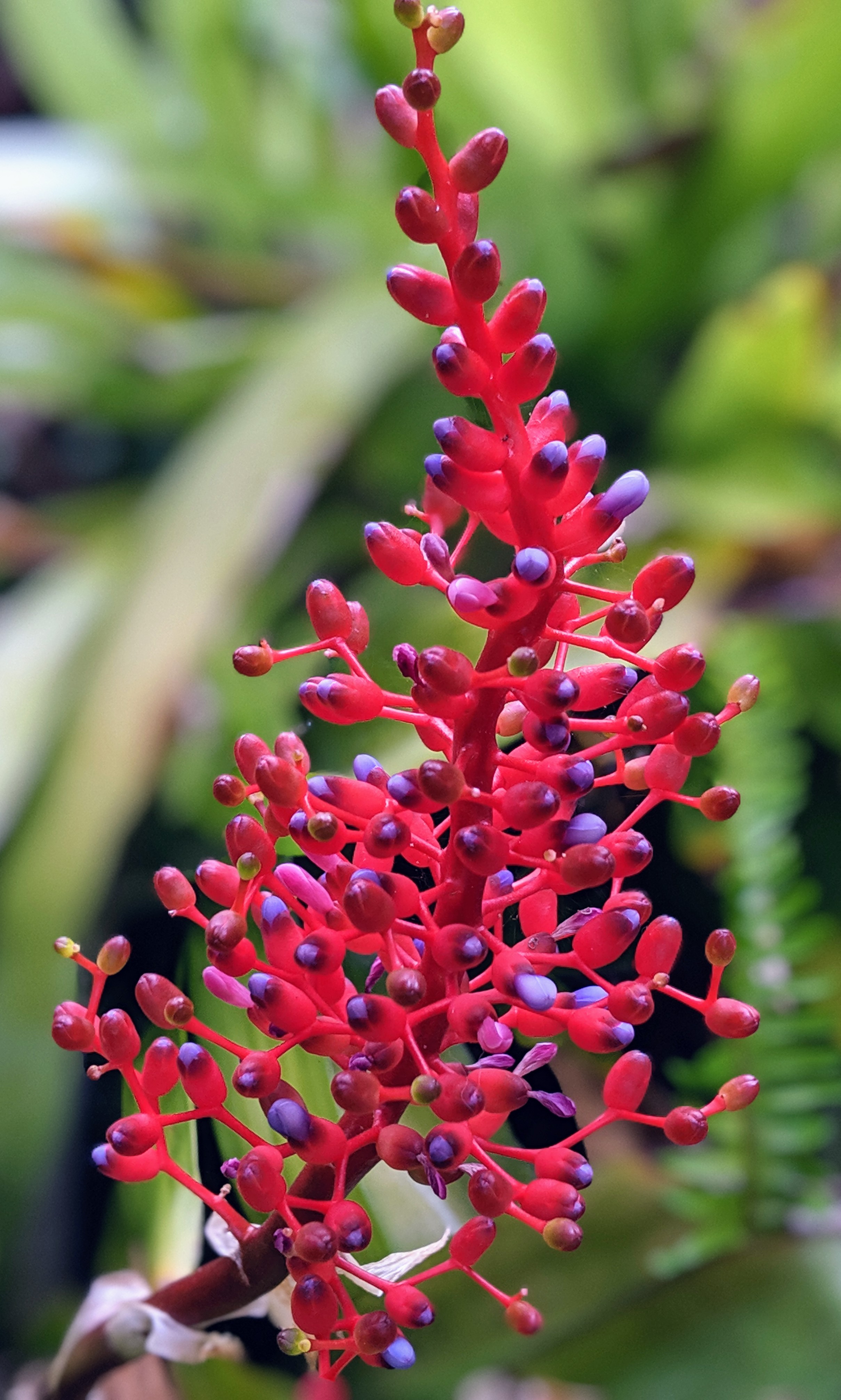 00100lportrait_00100_burst20190705081030627_cover