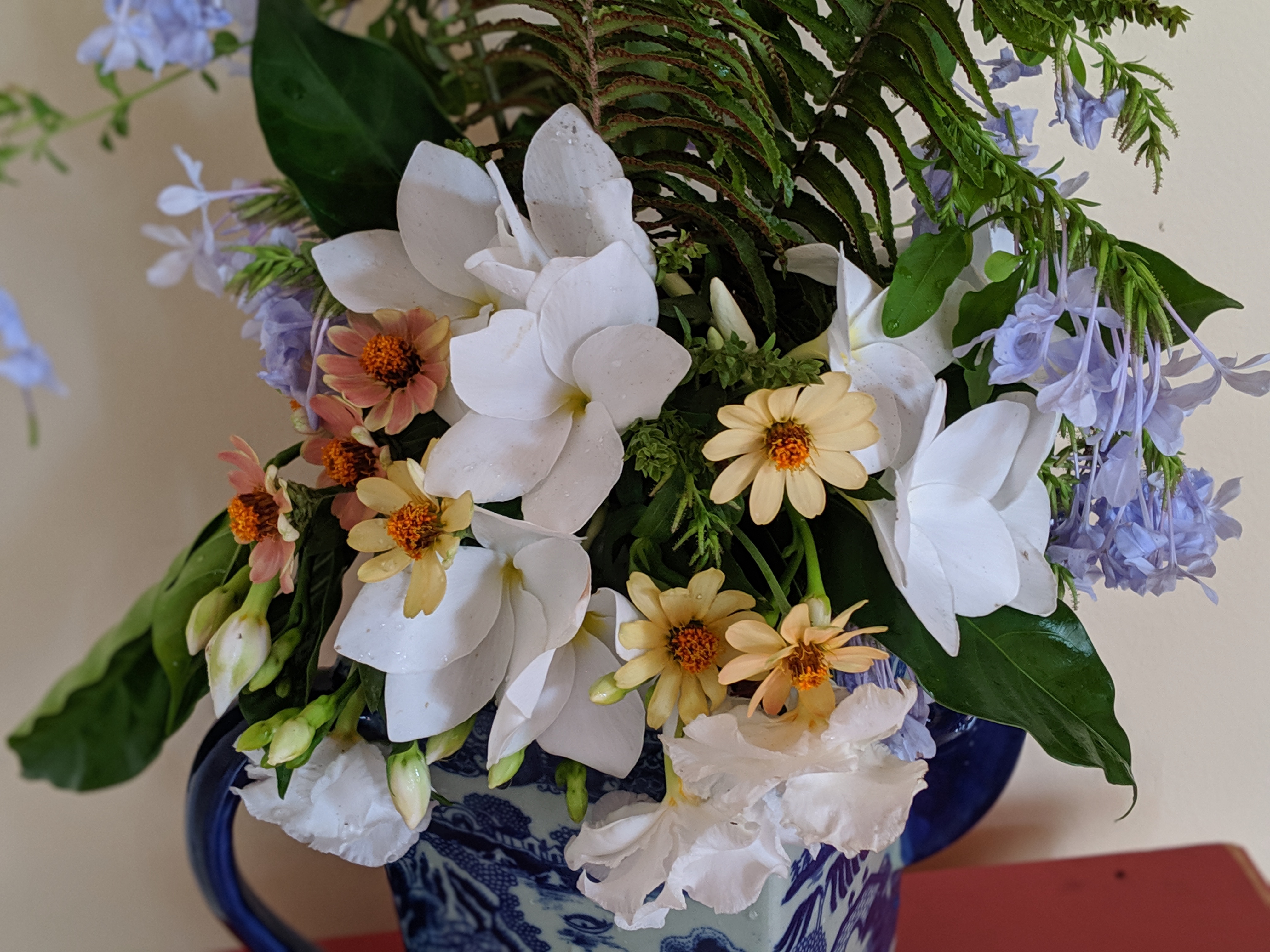 00100lportrait_00100_burst20190707101146009_cover