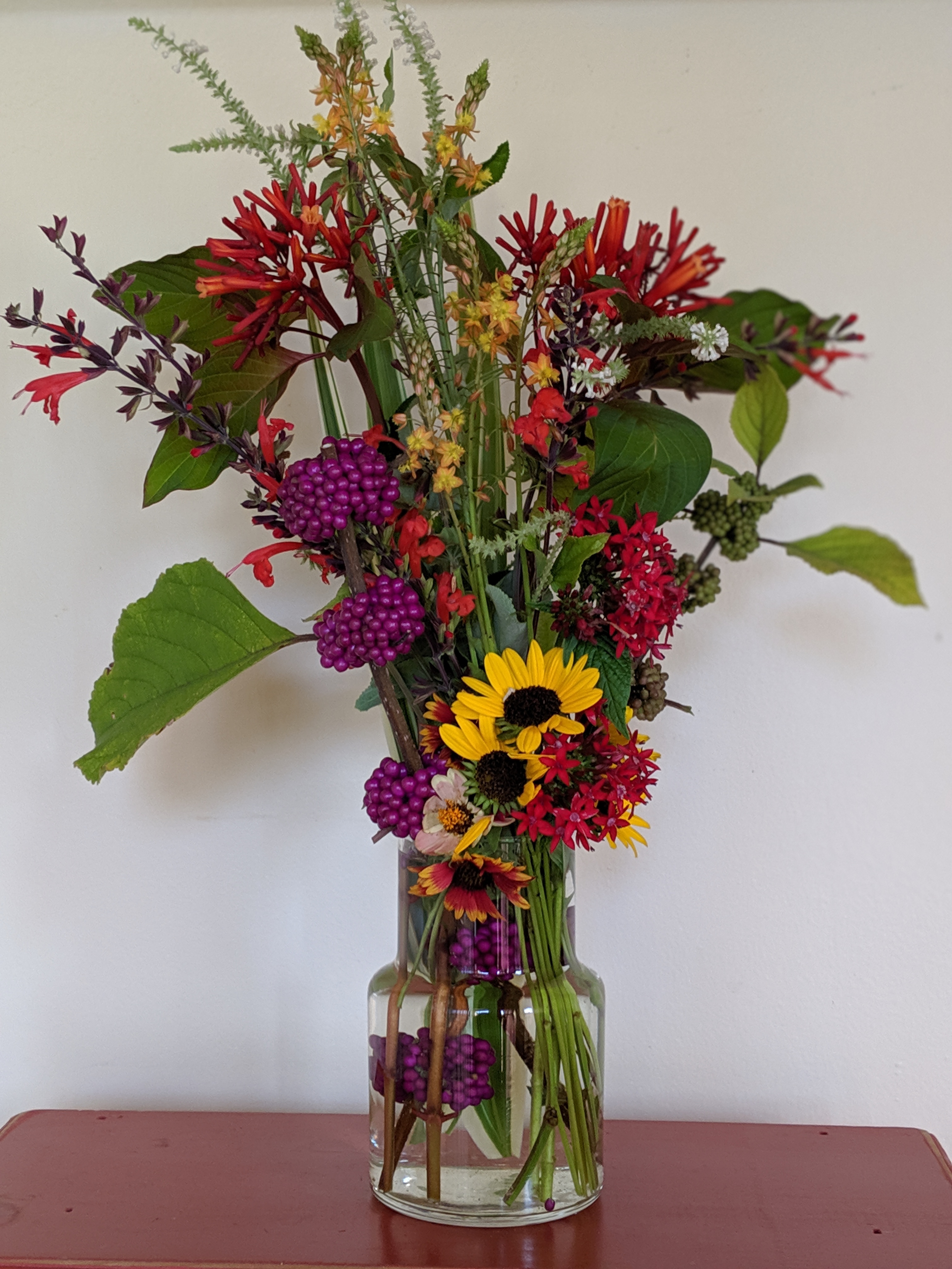 00100lPORTRAIT_00100_BURST20190804094909230_COVER