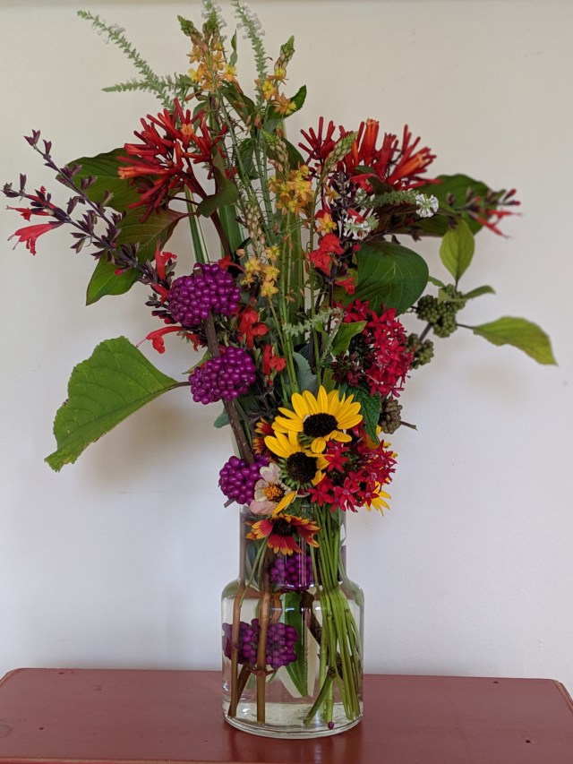 00100lPORTRAIT_00100_BURST20190804094909230_COVER