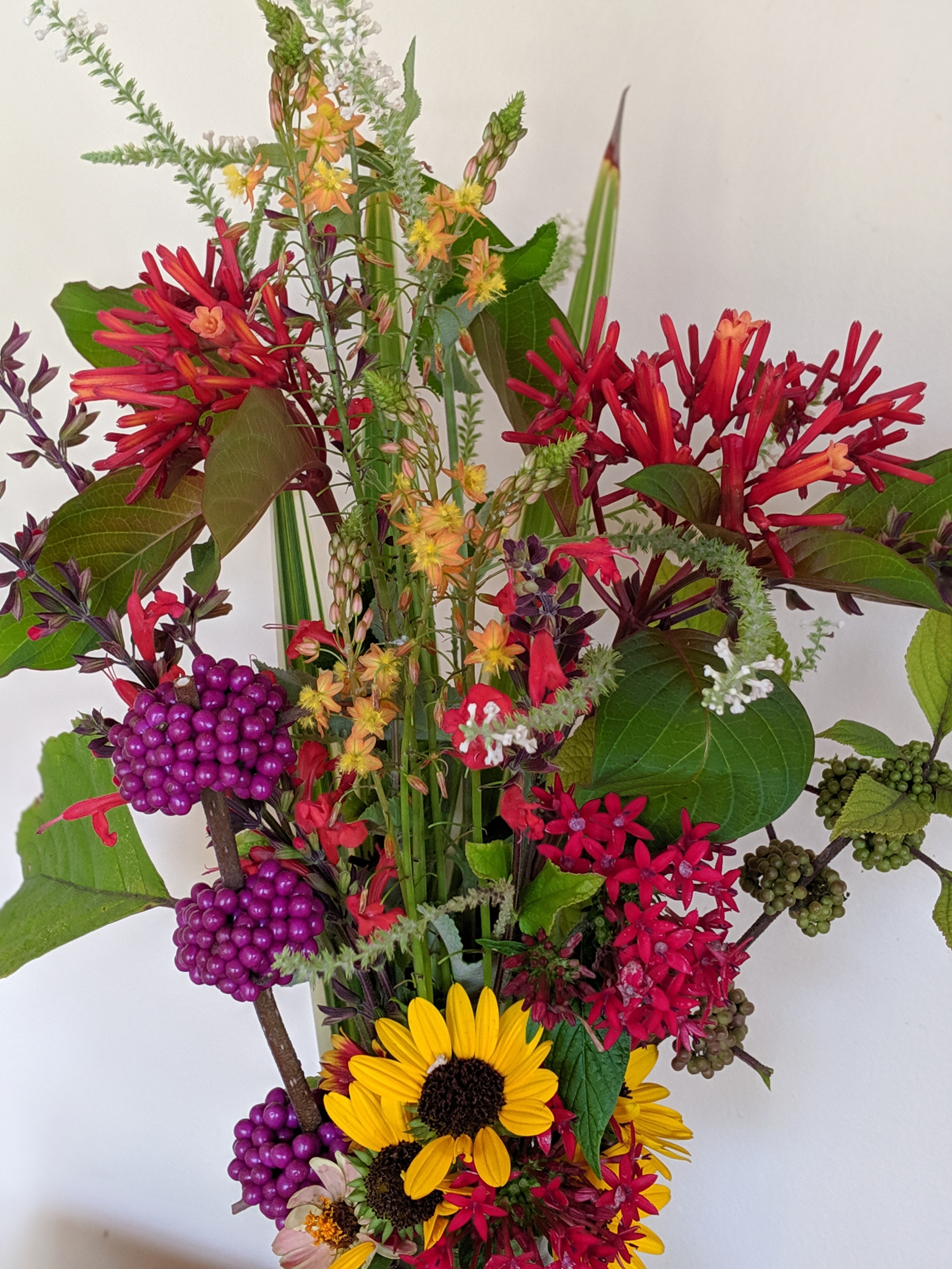 00100lPORTRAIT_00100_BURST20190804095022126_COVER