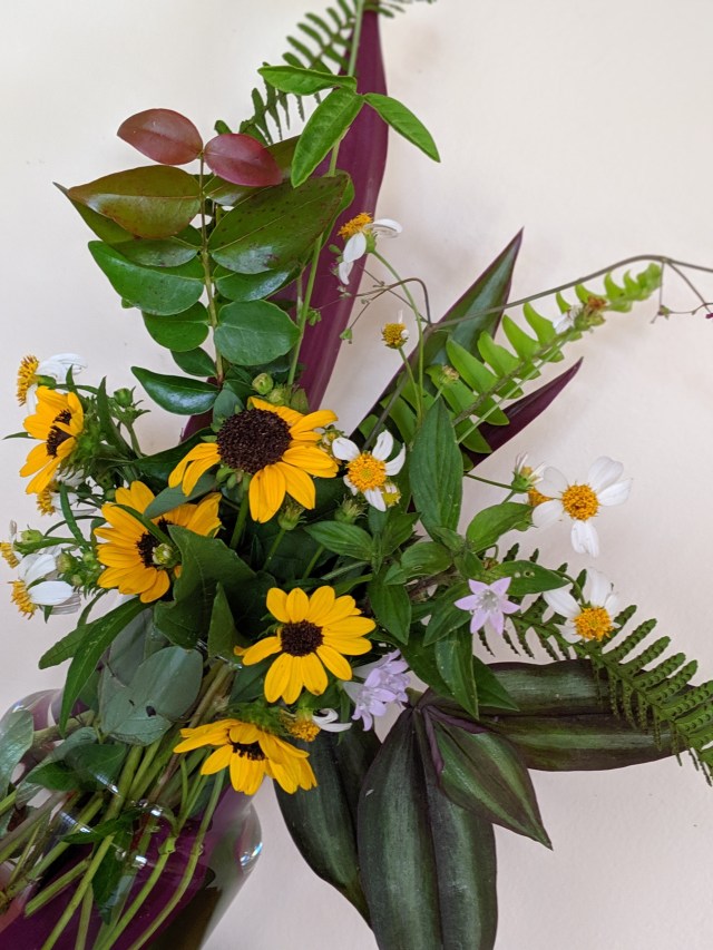 00100lPORTRAIT_00100_BURST20190818120609082_COVER