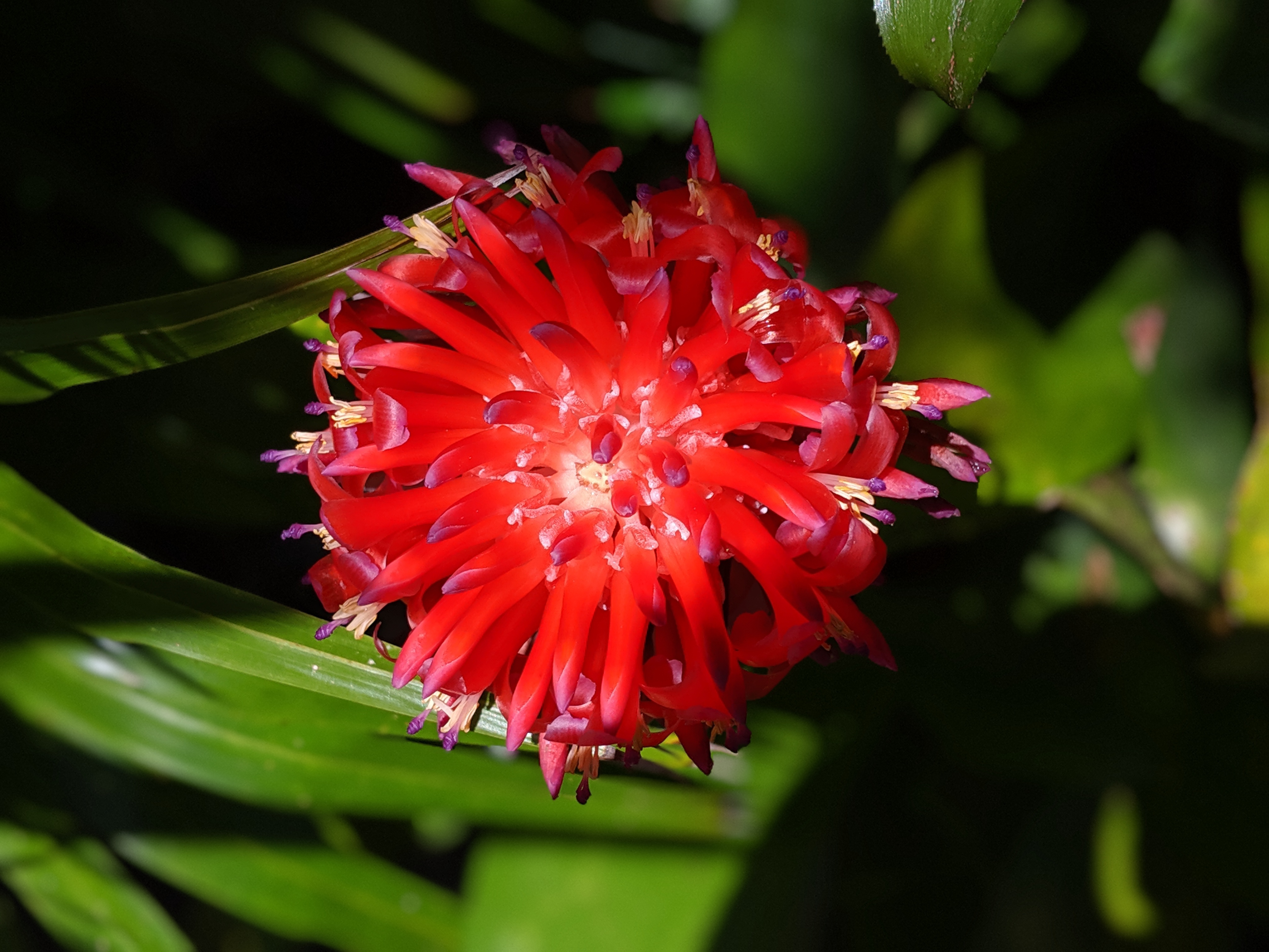 00100lportrait_00100_burst20190820135843791_cover