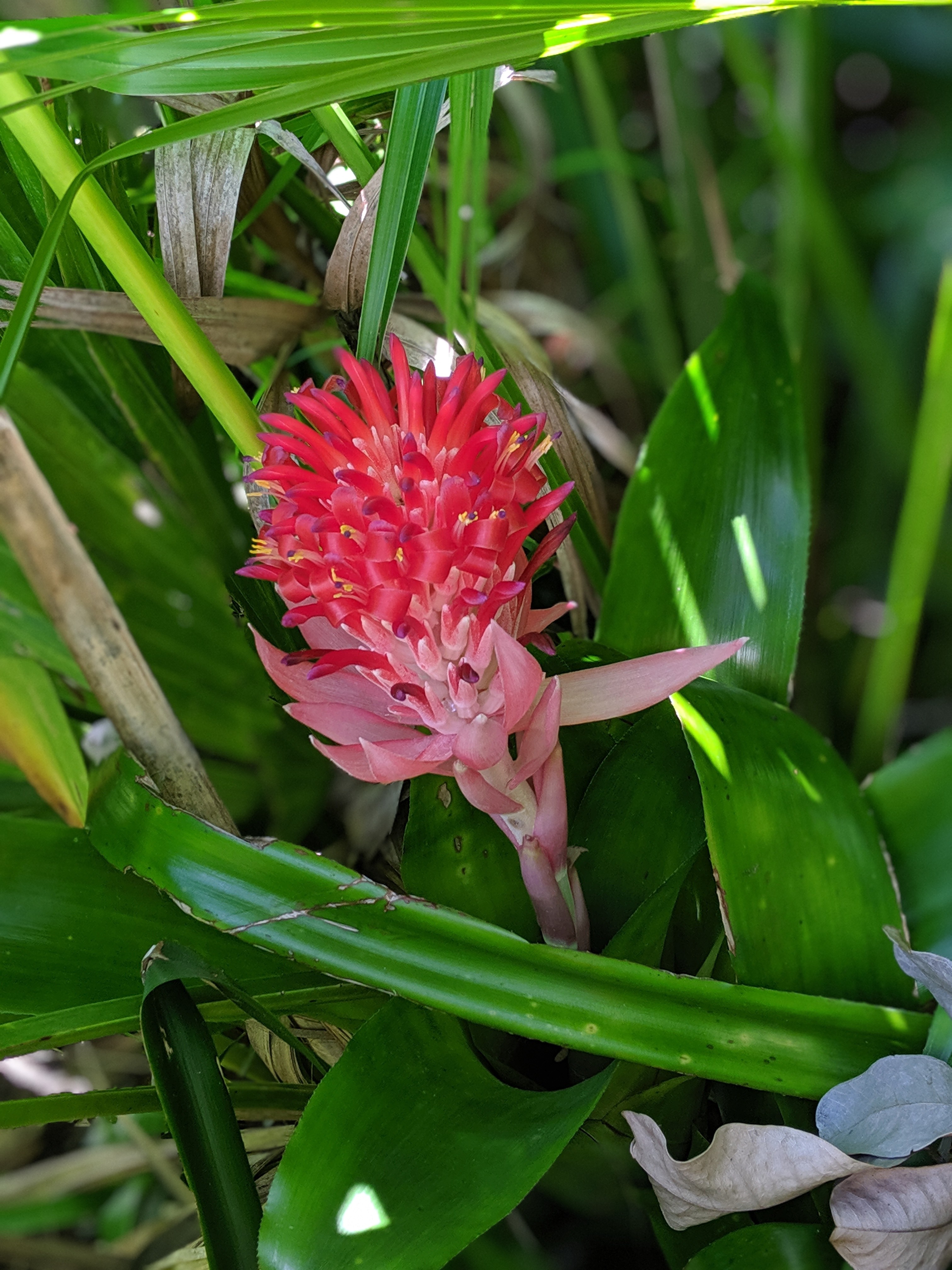 00100lportrait_00100_burst20190820135850485_cover