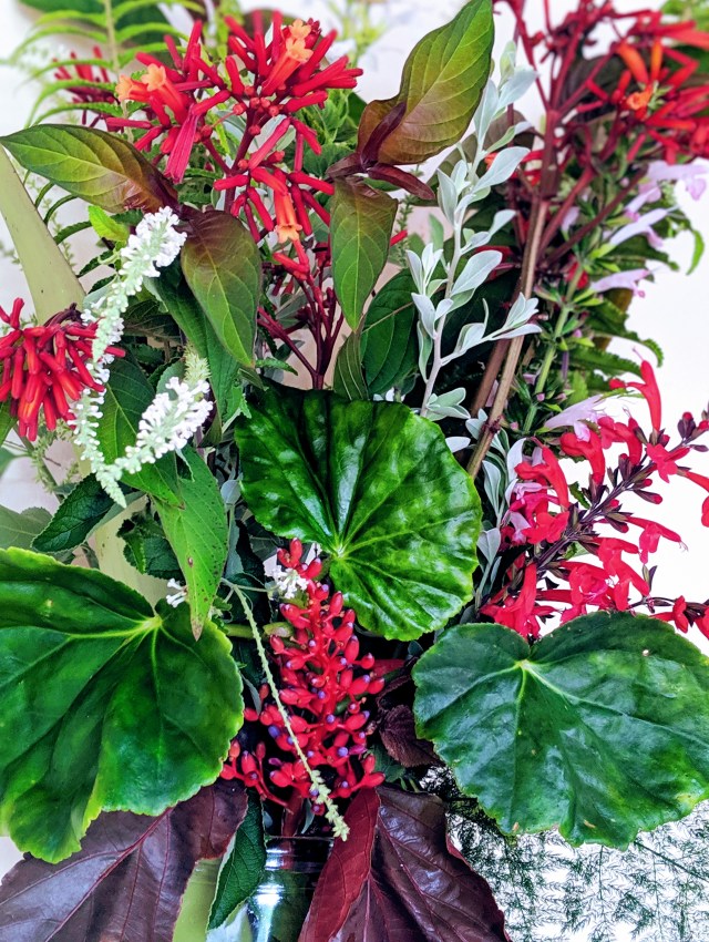 00100lportrait_00100_burst20190825104540299_cover