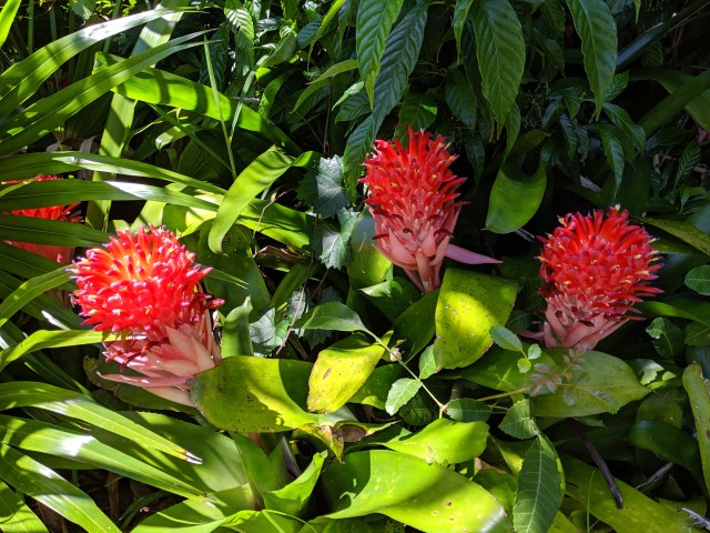 mvimg_20190820_135830