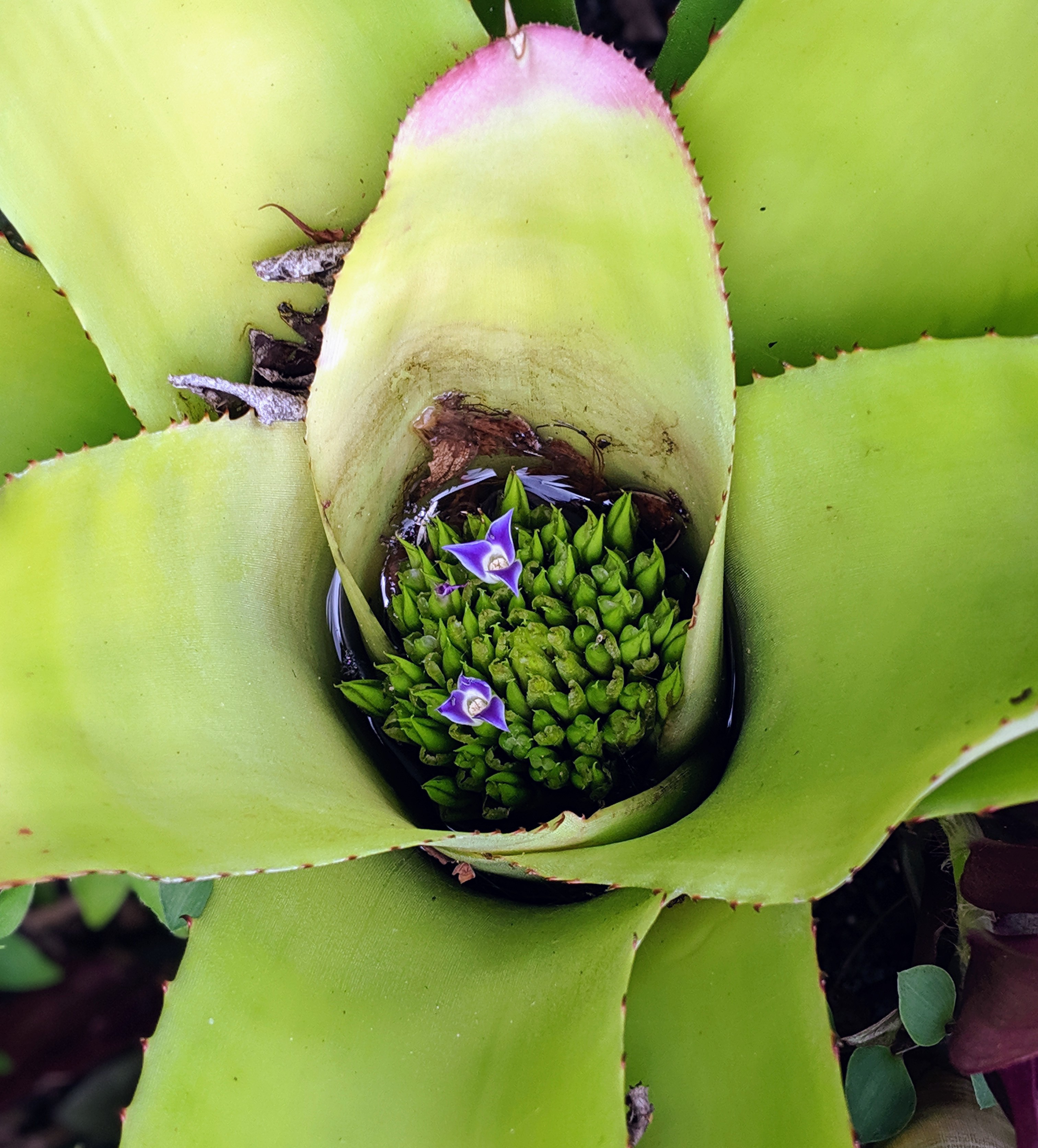 00100lportrait_00100_burst20190725132929289_cover