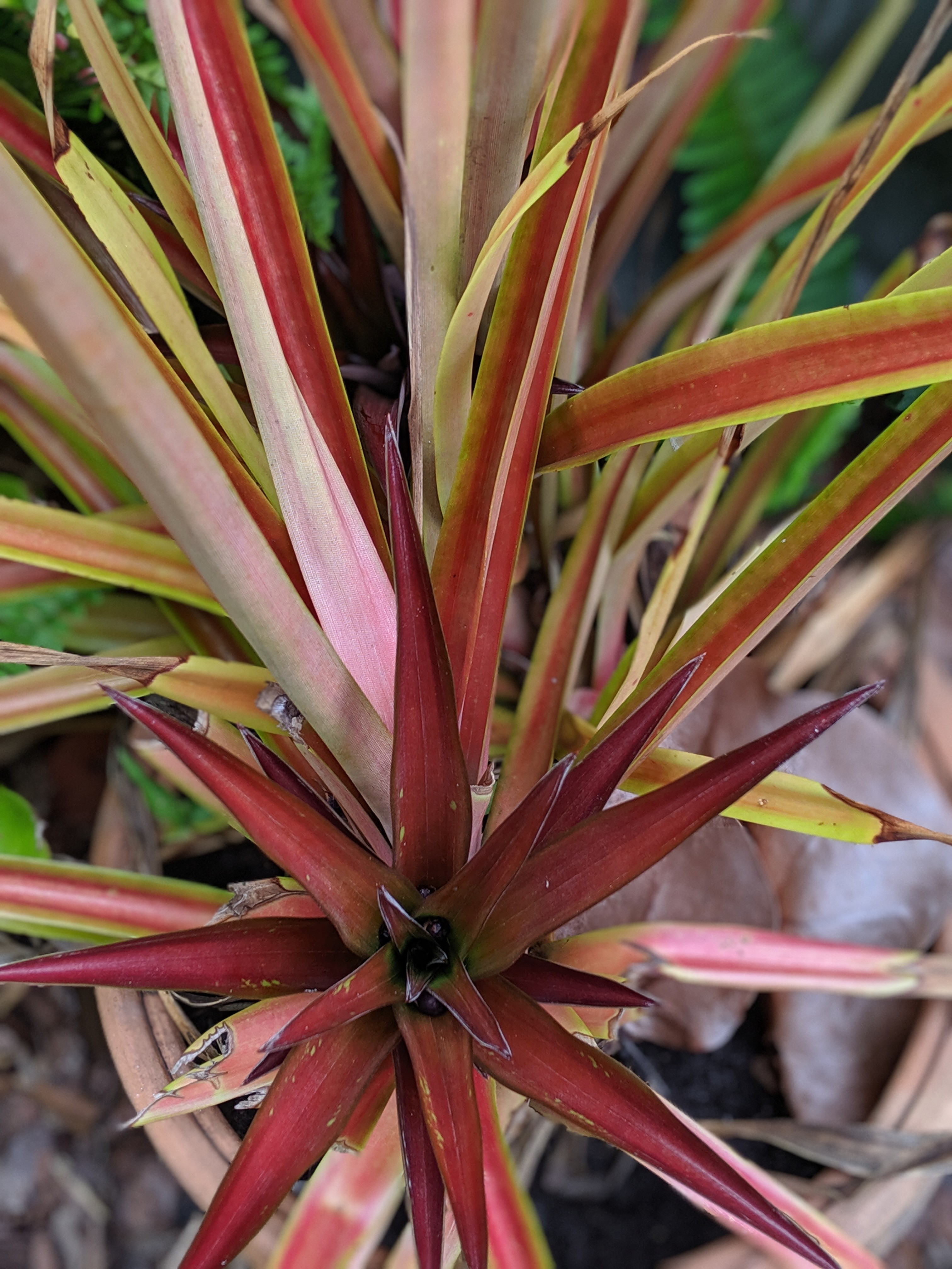 00100lportrait_00100_burst20190801132929206_cover