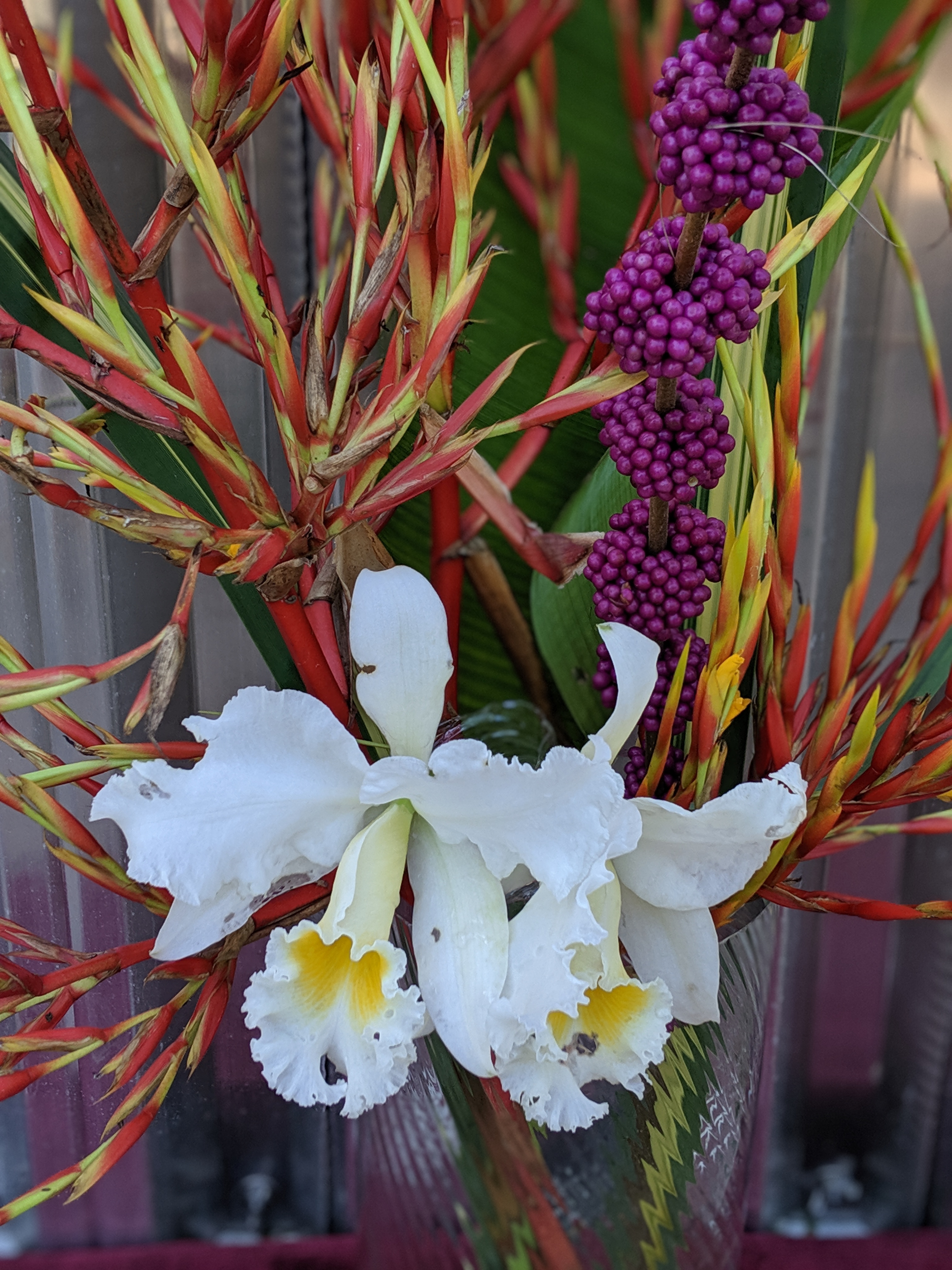 00100lPORTRAIT_00100_BURST20190901105508924_COVER