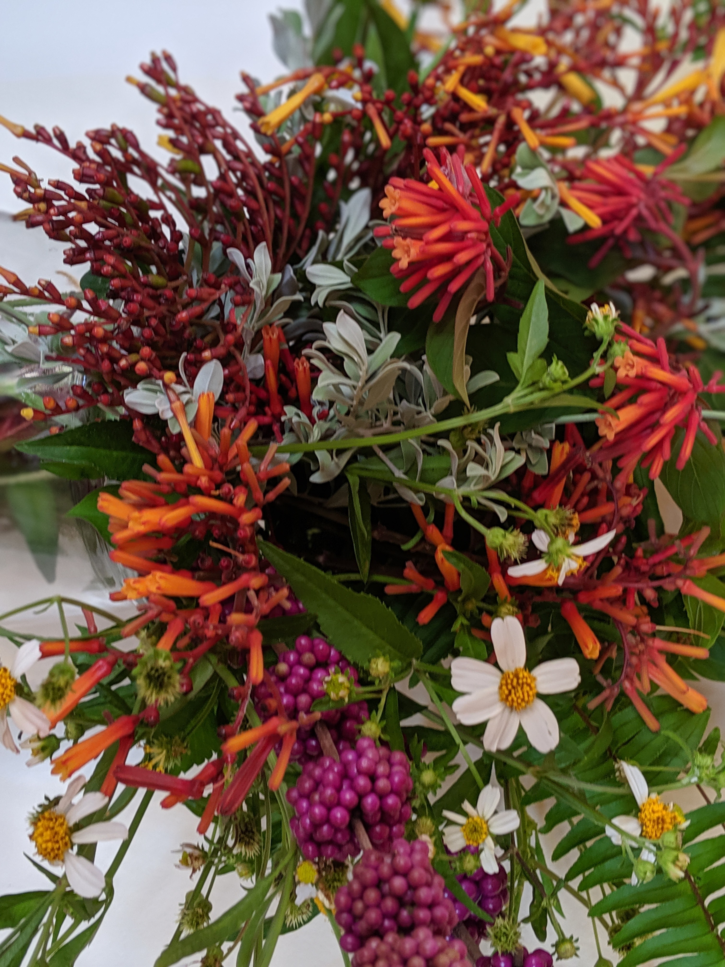 00100lportrait_00100_burst20190908102202373_cover